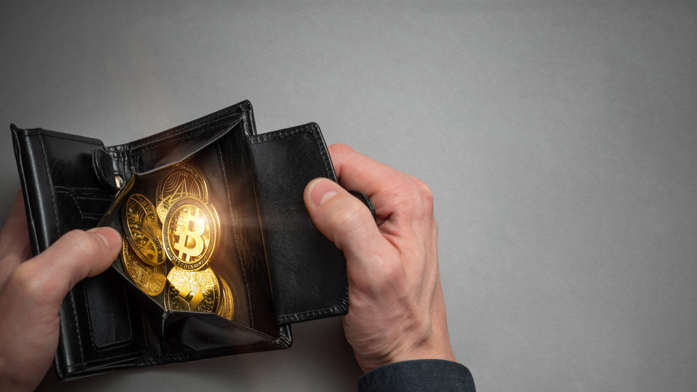 Top 5 Cryptocurrency Wallets You Need to Know in 2023