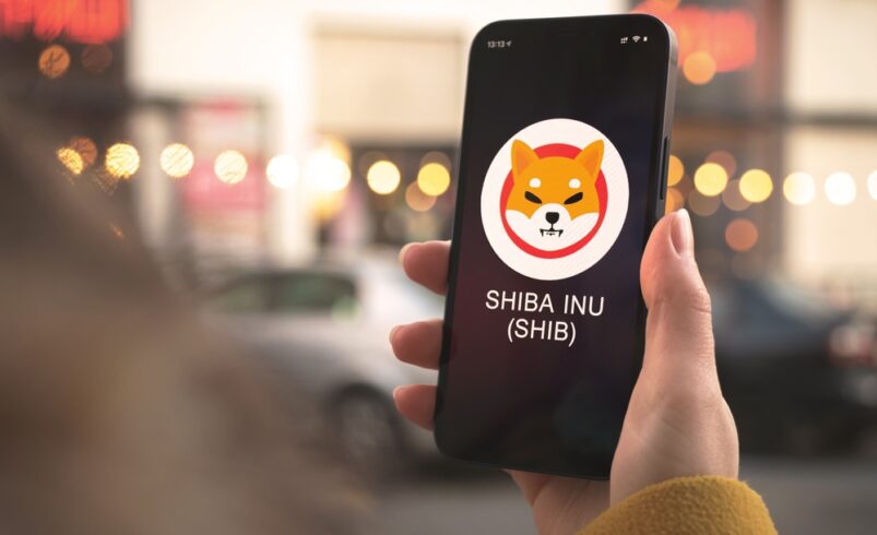 What is Shiba Inu (SHIB)? A Beginner’s Guide